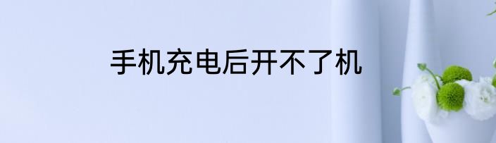 手机充电后开不了机