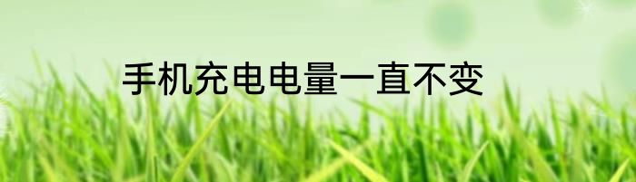 手机充电电量一直不变
