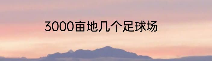 3000亩地几个足球场