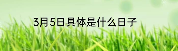 3月5日具体是什么日子