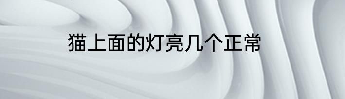 猫上面的灯亮几个正常