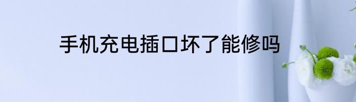 手机充电插口坏了能修吗