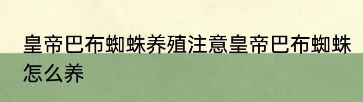 皇帝巴布蜘蛛养殖注意皇帝巴布蜘蛛怎么养