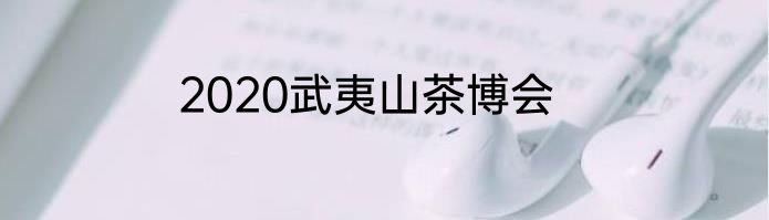 2020武夷山茶博会