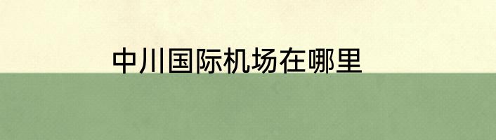 中川国际机场在哪里