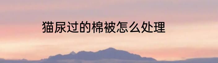 猫尿过的棉被怎么处理