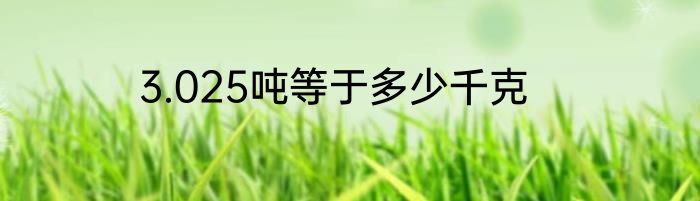 3.025吨等于多少千克