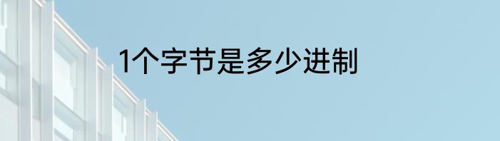 1个字节是多少进制
