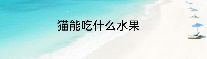 猫能吃什么水果