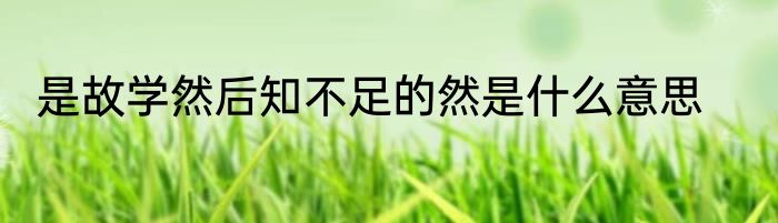 是故学然后知不足的然是什么意思