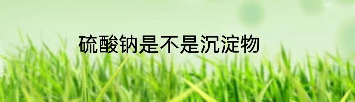 硫酸钠是不是沉淀物