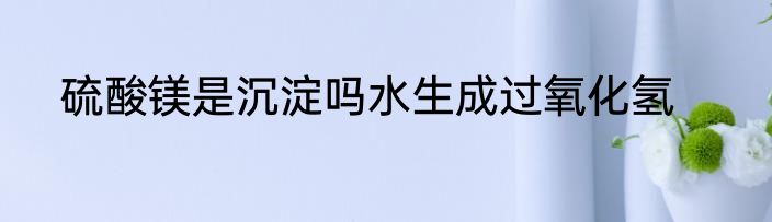硫酸镁是沉淀吗水生成过氧化氢