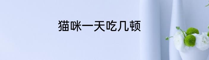 猫咪一天吃几顿