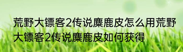 荒野大镖客2传说麋鹿皮怎么用荒野大镖客2传说麋鹿皮如何获得