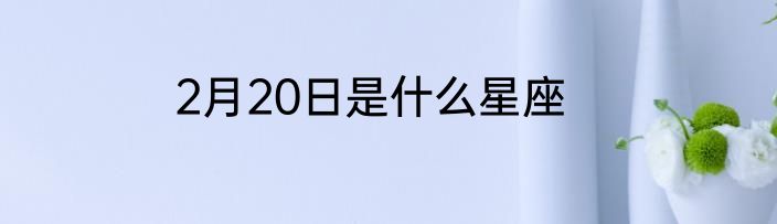 2月20日是什么星座