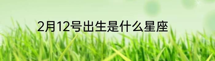 2月12号出生是什么星座
