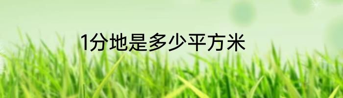 1分地是多少平方米