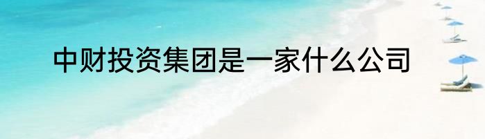 中财投资集团是一家什么公司