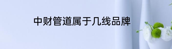 中财管道属于几线品牌