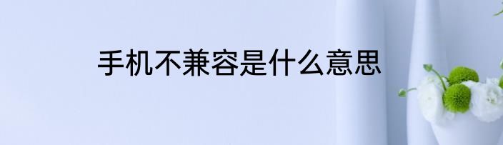 手机不兼容是什么意思