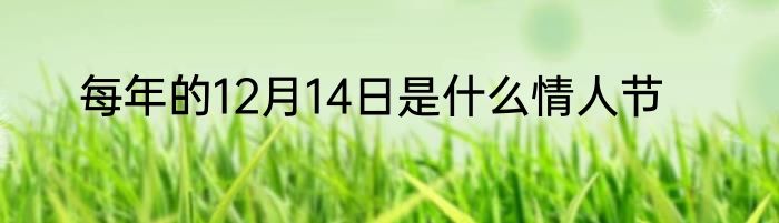 每年的12月14日是什么情人节