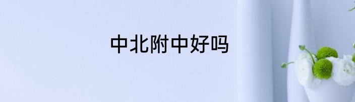 中北附中好吗