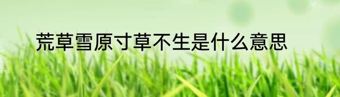 荒草雪原寸草不生是什么意思