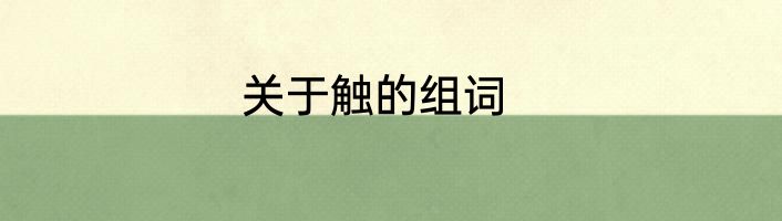 关于触的组词