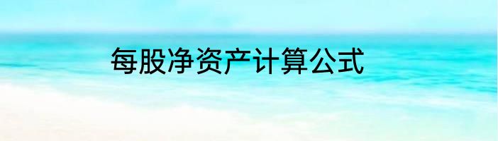 每股净资产计算公式