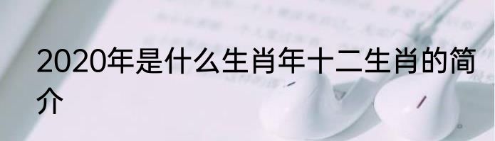2020年是什么生肖年十二生肖的简介