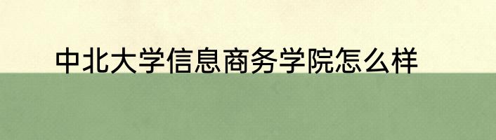 中北大学信息商务学院怎么样