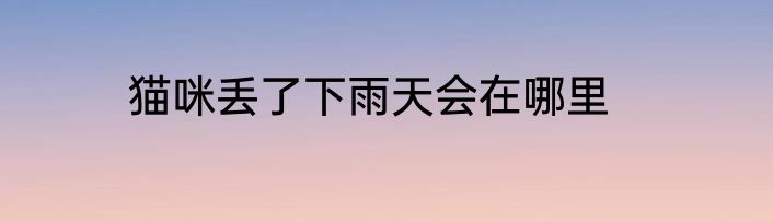 猫咪丢了下雨天会在哪里