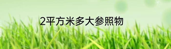 2平方米多大参照物
