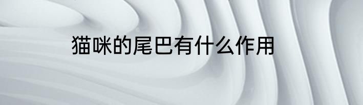 猫咪的尾巴有什么作用