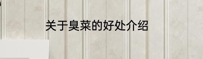 关于臭菜的好处介绍