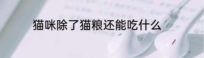 猫咪除了猫粮还能吃什么