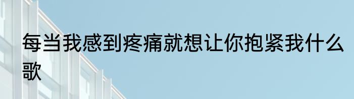 每当我感到疼痛就想让你抱紧我什么歌