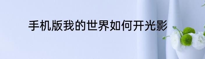 手机版我的世界如何开光影