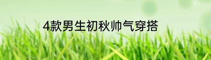 4款男生初秋帅气穿搭