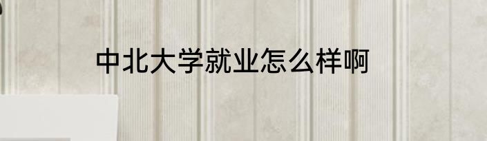 中北大学就业怎么样啊