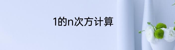 1的n次方计算