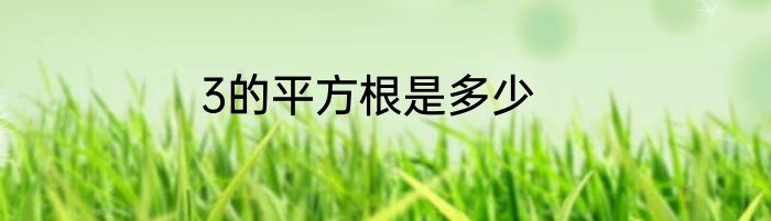 3的平方根是多少