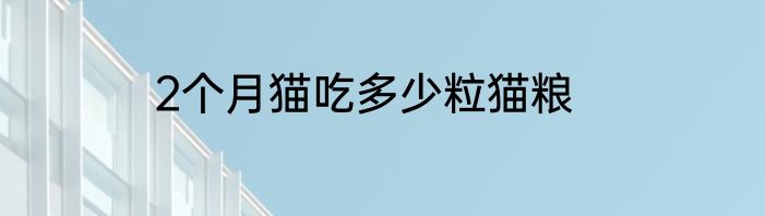 2个月猫吃多少粒猫粮
