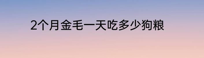 2个月金毛一天吃多少狗粮