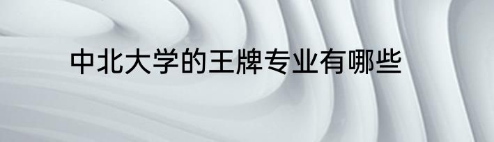 中北大学的王牌专业有哪些