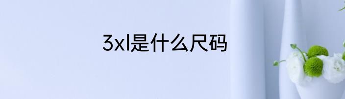 3xl是什么尺码