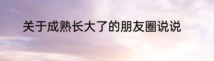 关于成熟长大了的朋友圈说说