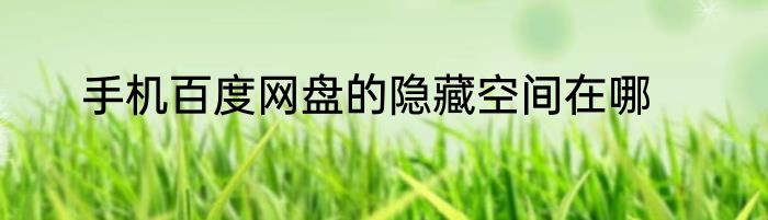 手机百度网盘的隐藏空间在哪