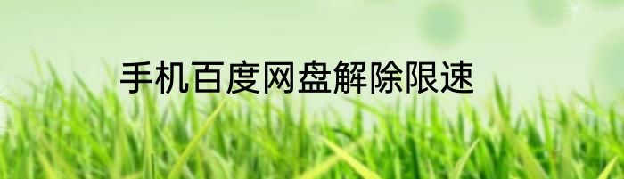 手机百度网盘解除限速