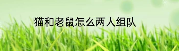猫和老鼠怎么两人组队